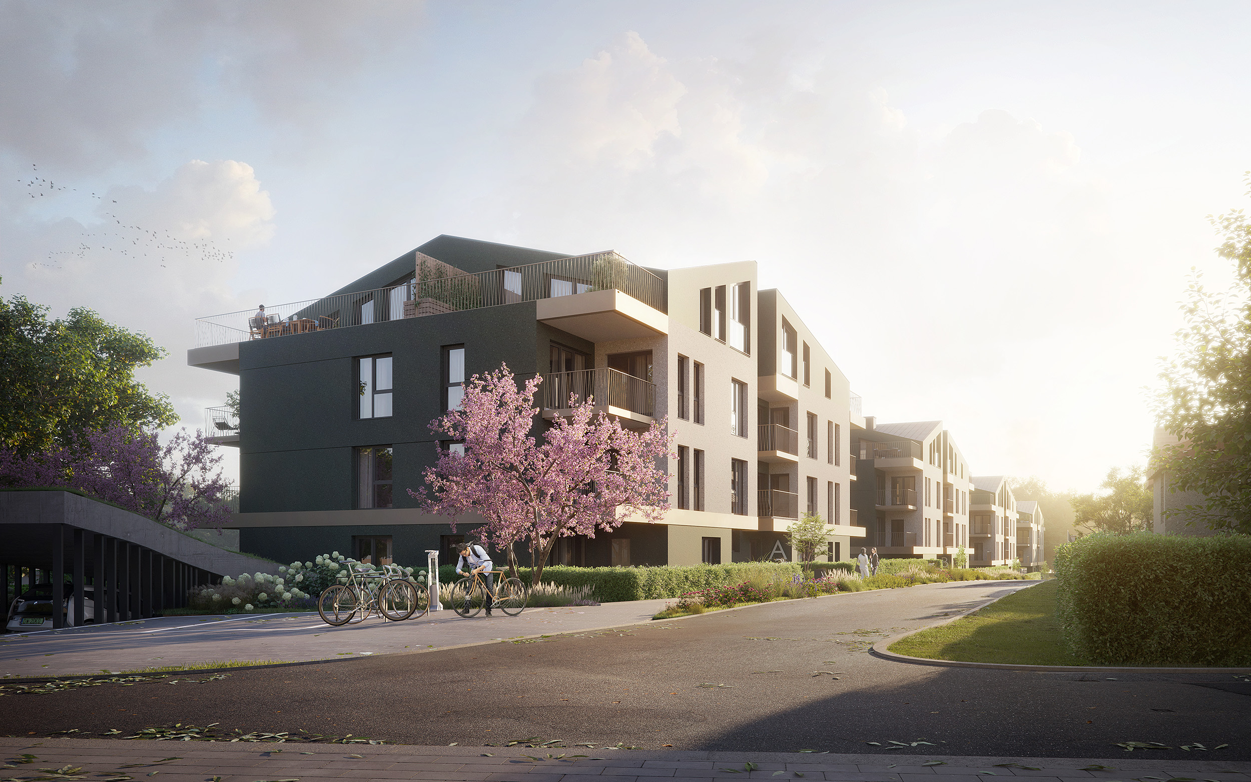 architectural visualization